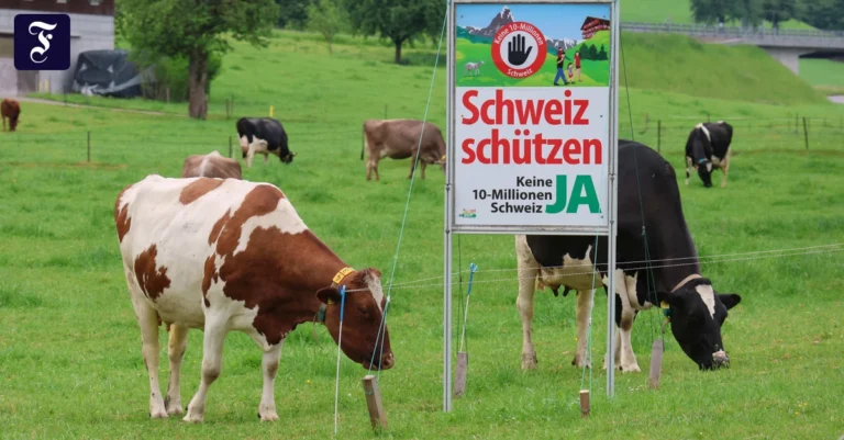 die-nationalkonservative-svp.webp.webp