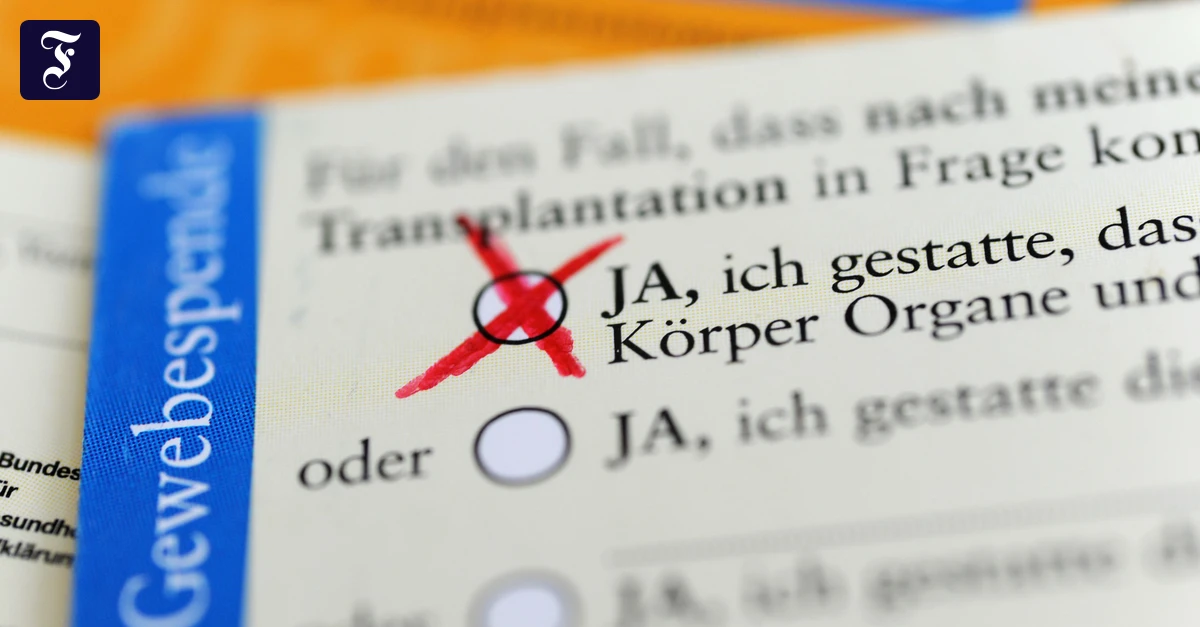 die-rueckseite-eines.webp.webp