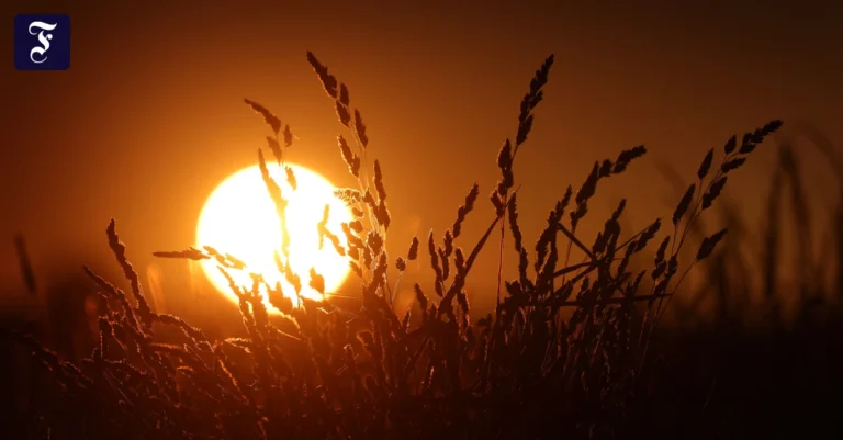 die-sonne-geht-hinter-den.webp.webp