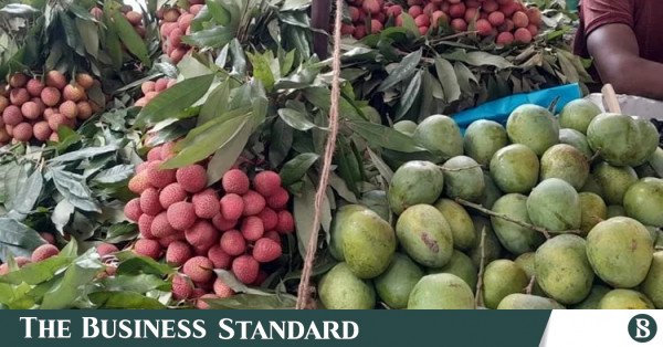 fruitsi.jpg