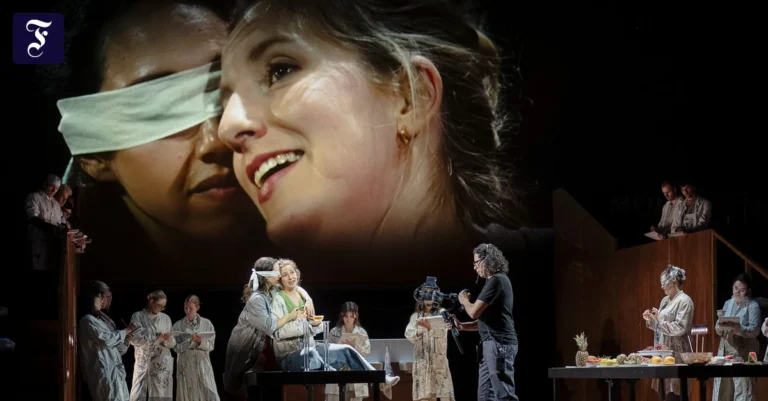geeigneter-stoff-mozarts-oper.webp.webp
