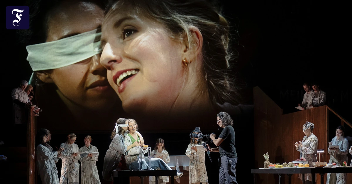 geeigneter-stoff-mozarts-oper.webp.webp