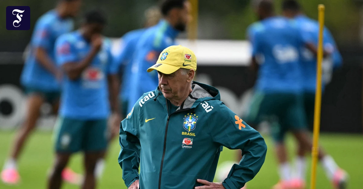 gefordert-brasiliens-trainer.webp.webp