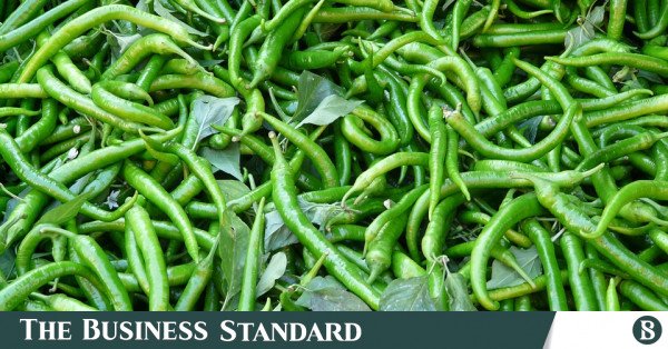 green_chili_2.jpg