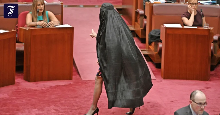 hanson-2025-in-burka-im-senat.webp.webp