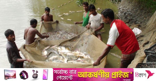 mymensingh_fish_farming_1.jpg