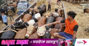 p3_cattle_market_rd_6419_0.jpeg