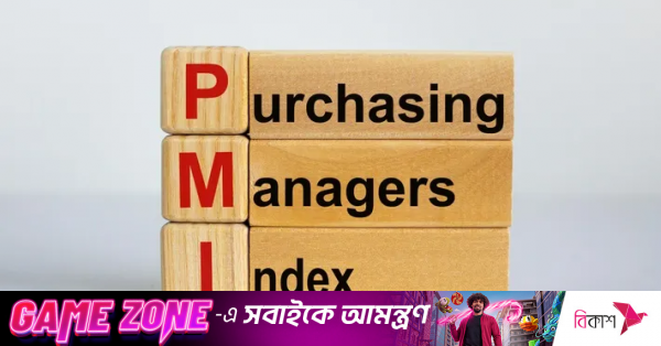 pmi.png