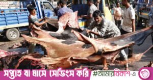 rawhide_dhanmondi.jpeg