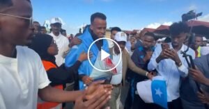 somali-ref-thumb-onsite-facebookJumbo.jpg
