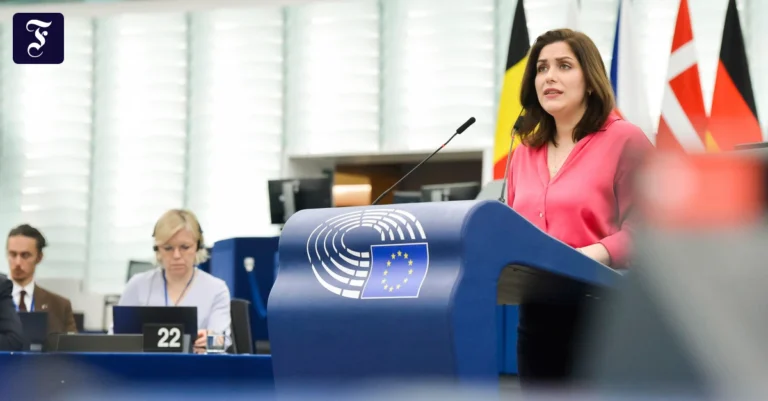 svenja-hahn-im-europaparlament.webp.webp