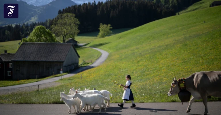 zu-wenig-wohnraum-die-schweiz.webp.webp