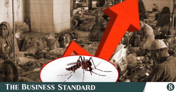 1784546839_dengue.jpg