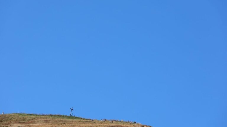 1784838863_wide__1300x731.jpeg