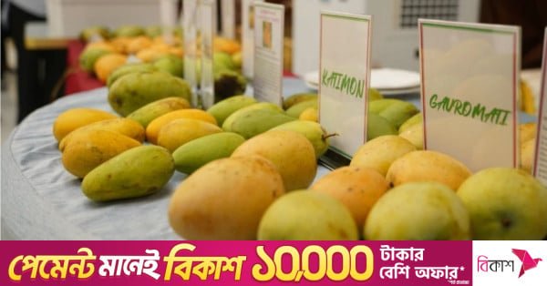 1785123146_mango.jpg