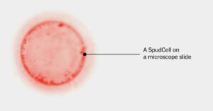 2026-06-24-spud-synthetic-cell-index-facebookJumbo.jpg