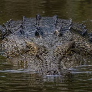 681e130b3d5d5e41bf8cc96e95defe10-6a59ff0caeb38.jpg