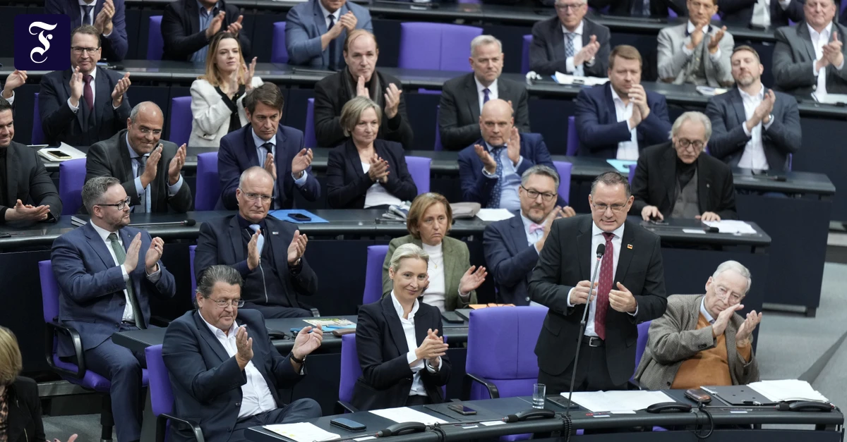 afd-abgeordnete-im-november.webp.webp