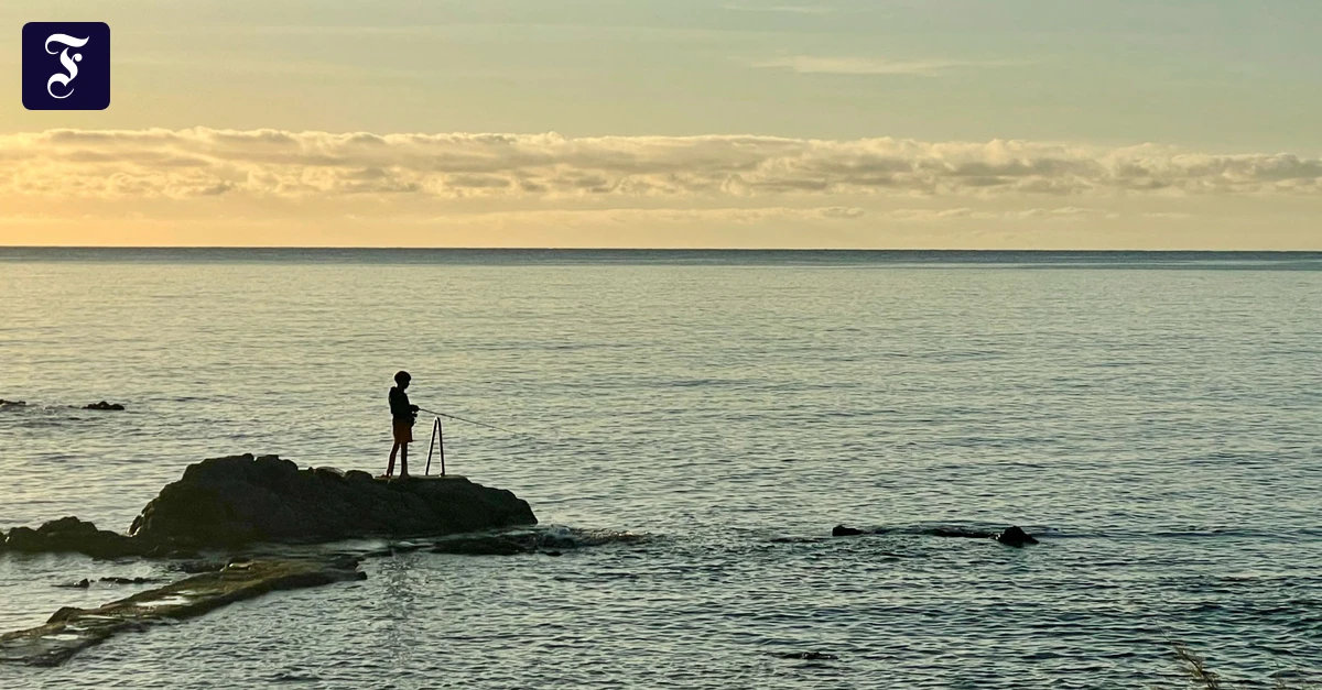 allein-mit-dem-meer-und.webp.webp