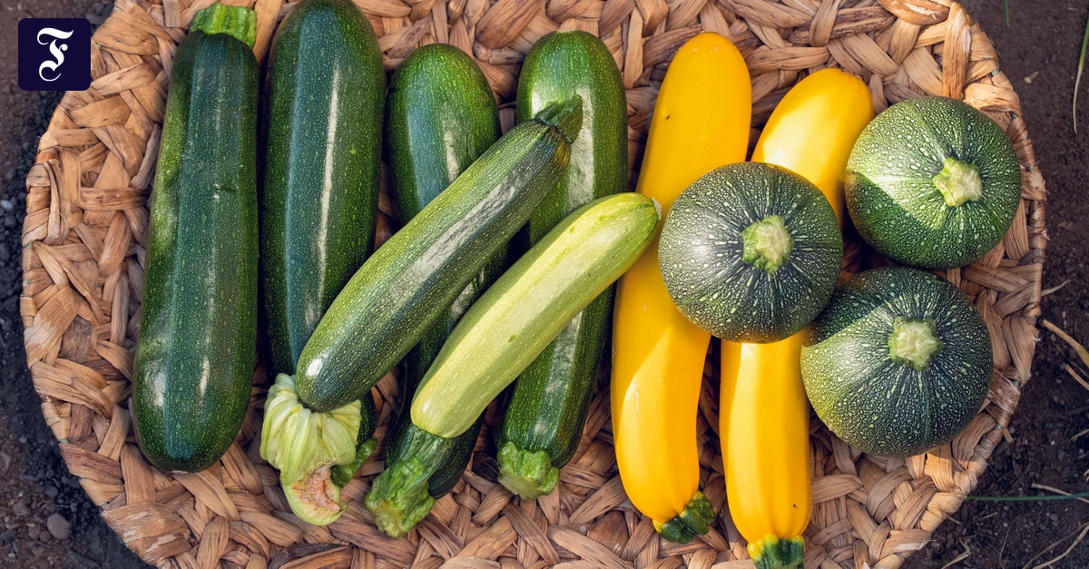 aus-dem-garten-auf-den-tisch.webp.webp