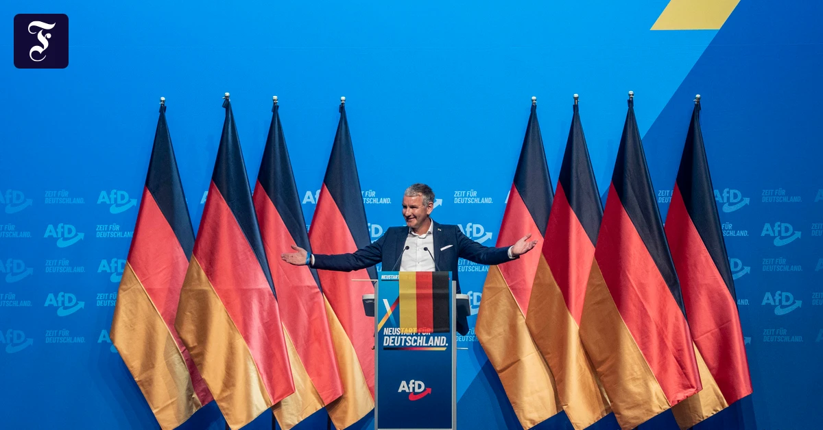 bjoern-hoecke-auf-dem-afd.webp.webp