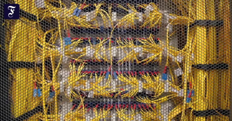 blick-ins-innere-server-im.webp.webp