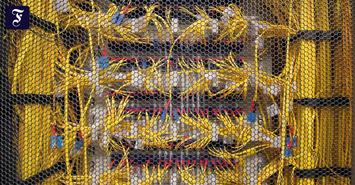 blick-ins-innere-server-im.webp.webp