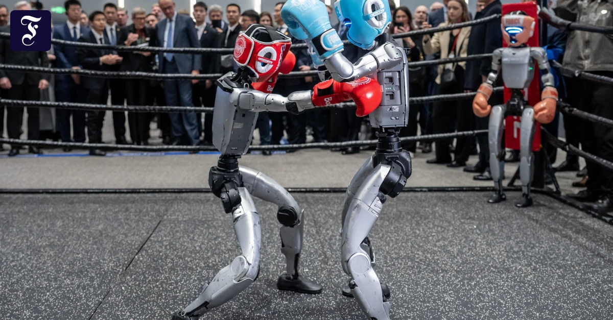 boxende-roboter-aus-china.webp.webp