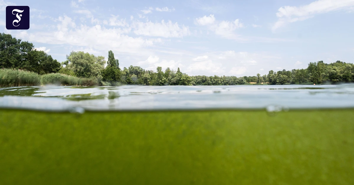 das-gruene-wasser-deutet-auf.webp.webp