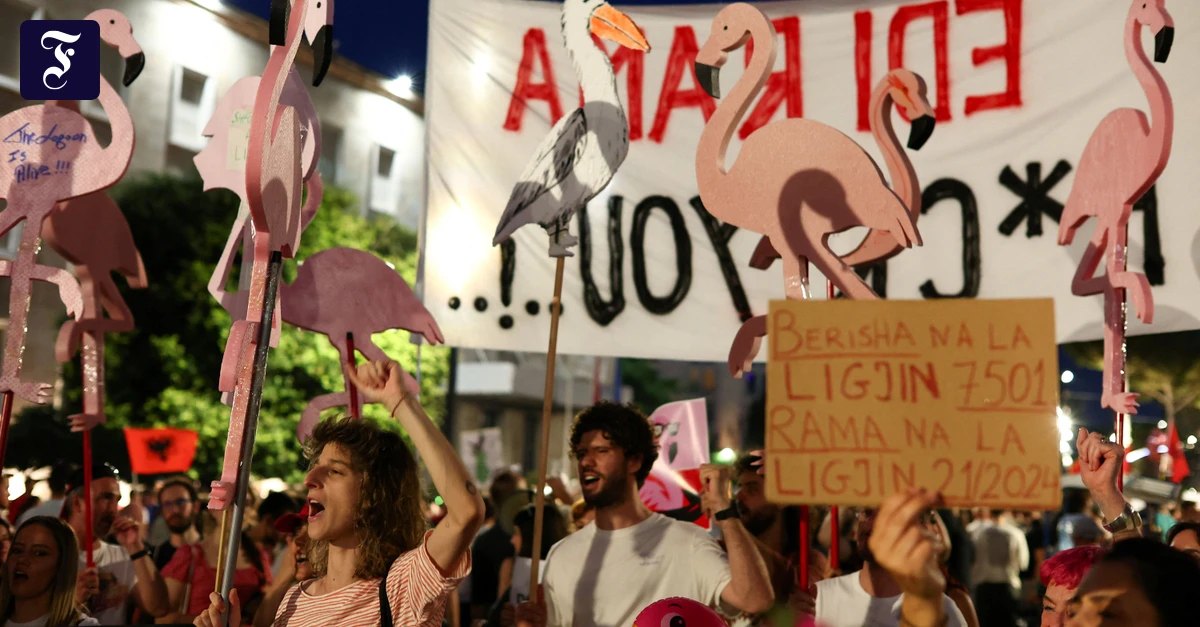 demonstranten-der-flamingo.webp.webp