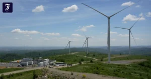 der-aufschwung-braucht-wind.webp.webp