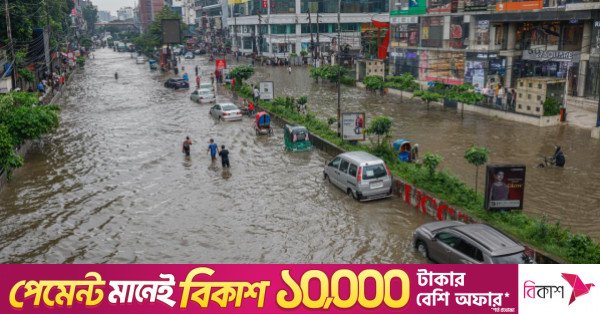dhanmondi_road.jpeg