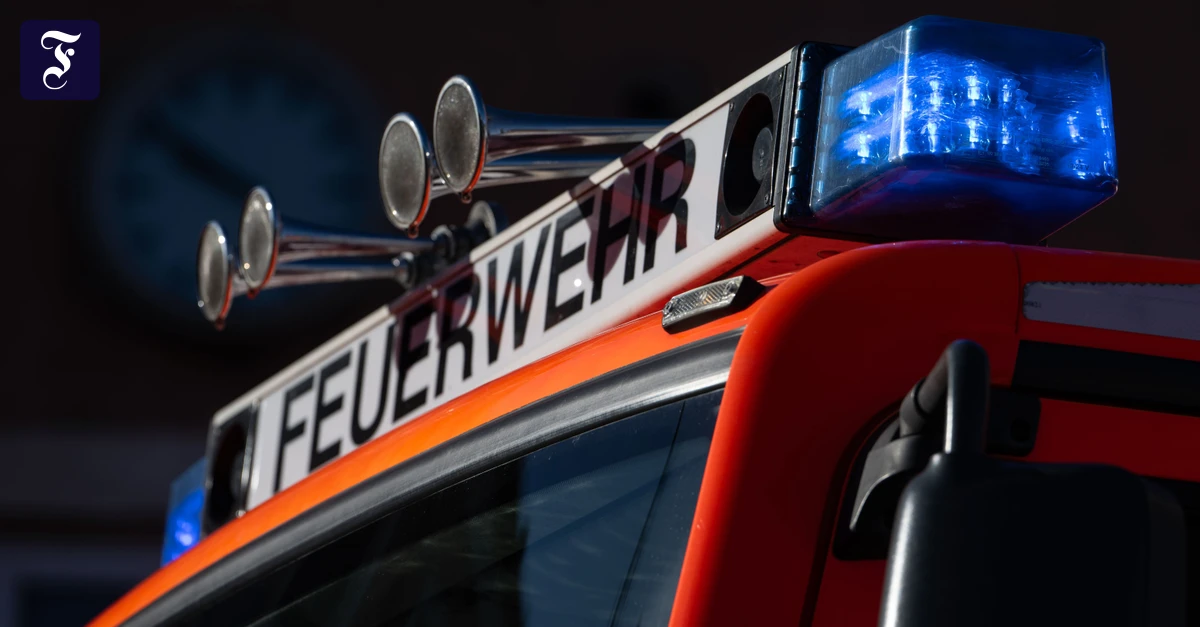 die-ermittler-suchen-jetzt.webp.webp