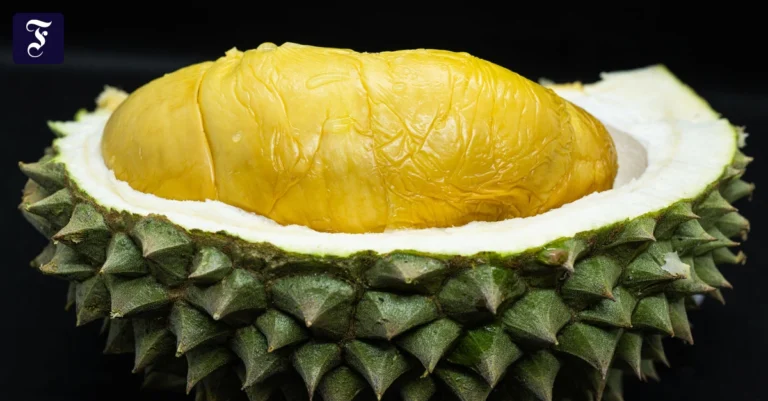 diese-frucht-spaltet-die.webp.webp