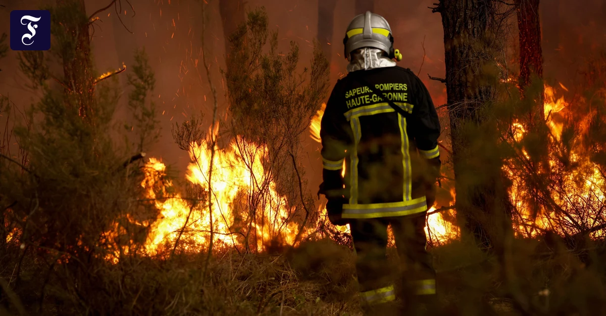 feuerwehrmann-im-einsatz-in.webp.webp