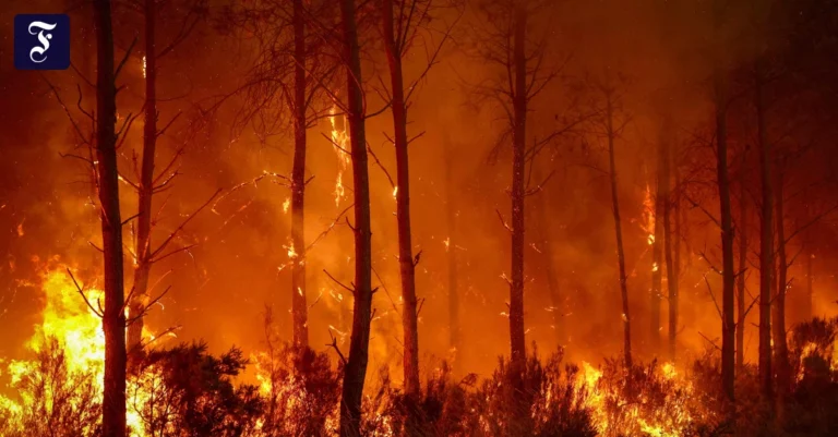 in-flammen-waldbrand-in-saint.webp.webp