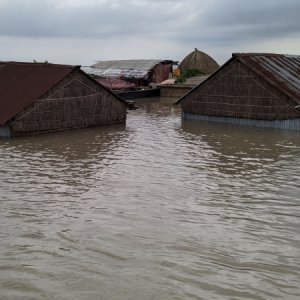 kurigram-flood5-8f93c91e91b5f3028c0f5f8a3ba03661.jpg