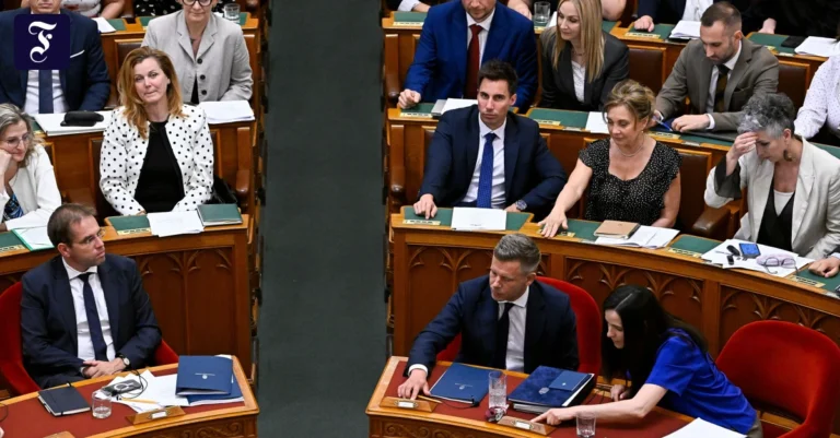 ministerpraesident-peter.webp.webp