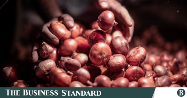 onion_mumitm-3547.jpg