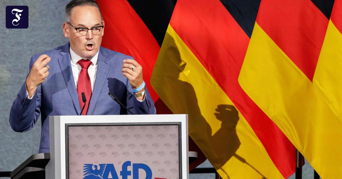 sachsen-anhalts-afd-landeschef.webp.webp