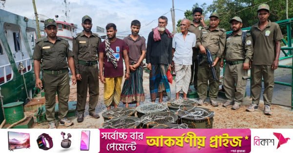 sundarbans_crab.jpg