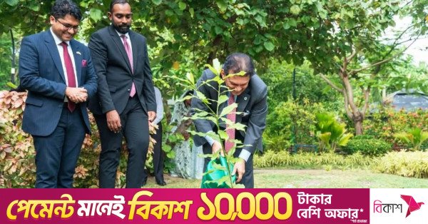 tree_plant.jpg