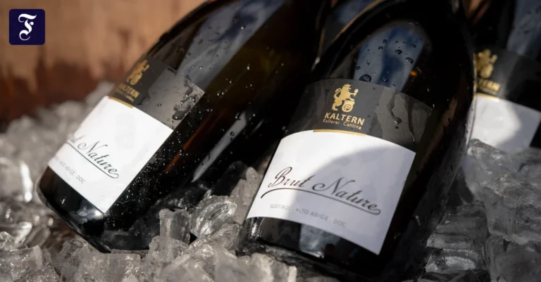 wie-champagner-hergestellt.webp.webp