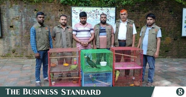 wildlife_trafficker_ctg.jpg