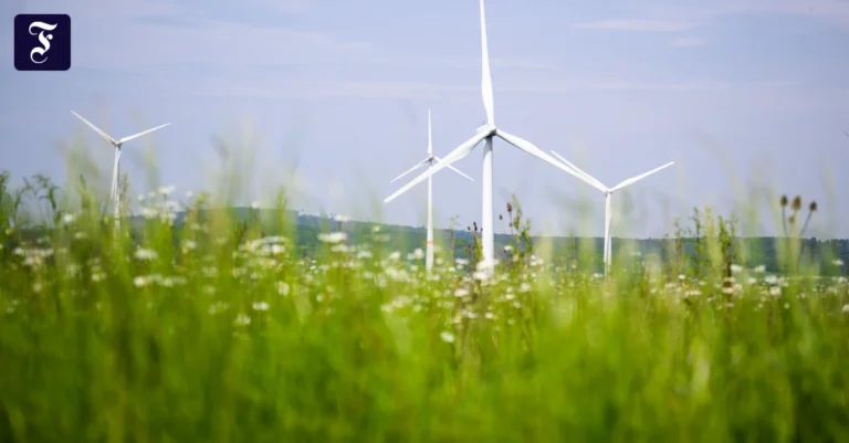 windraeder-auf-einem-feld.webp.webp