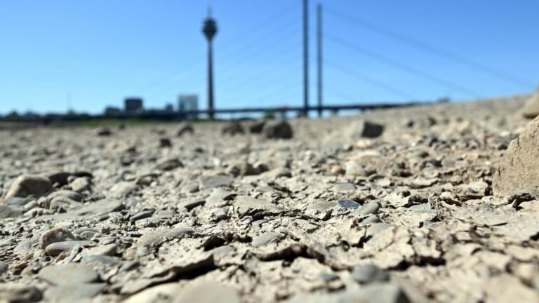 1786586767_wide__1300x731.jpeg