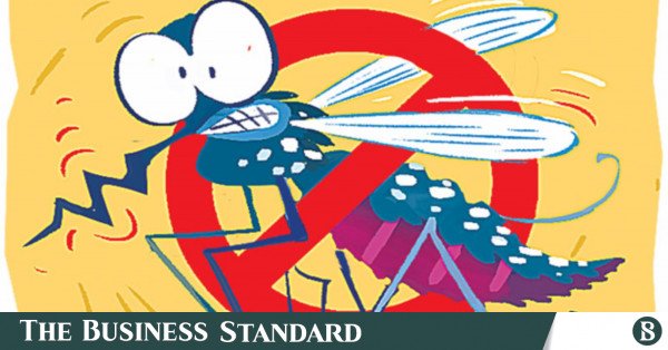 1786886815_dengue_prevention_strategy_.jpg
