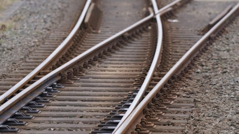 1786995561_wide__1300x731.jpeg