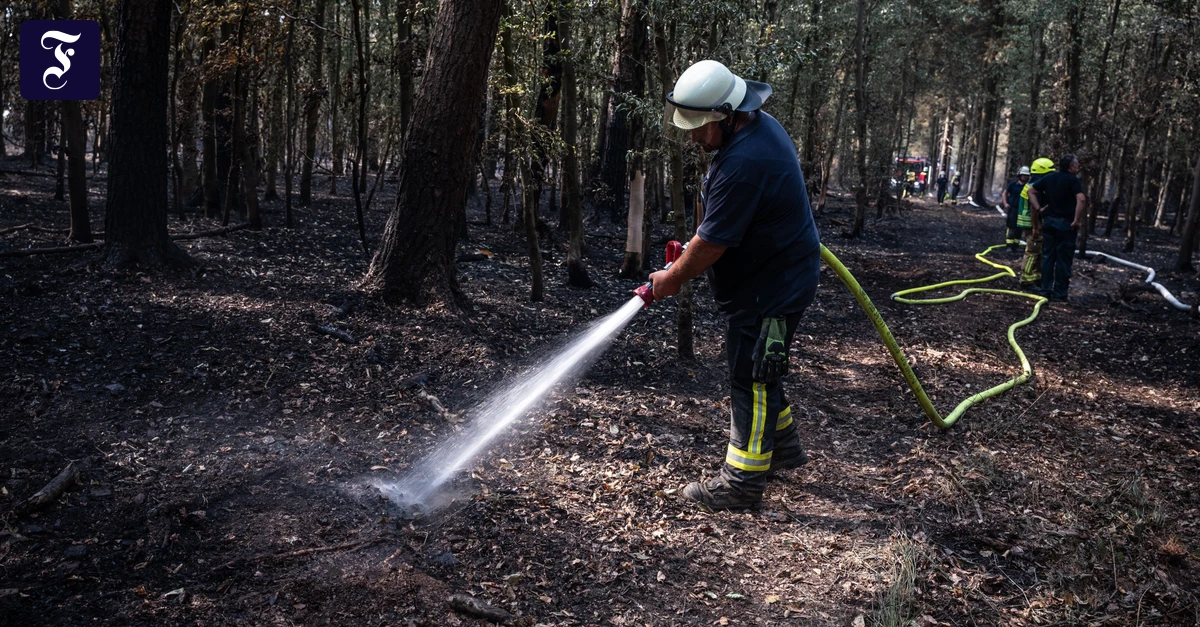 1787367656_feuerwehrmaenner-bei.webp.webp