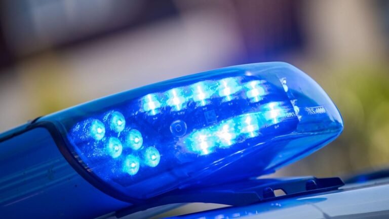 1787571233_wide__1300x731.jpeg